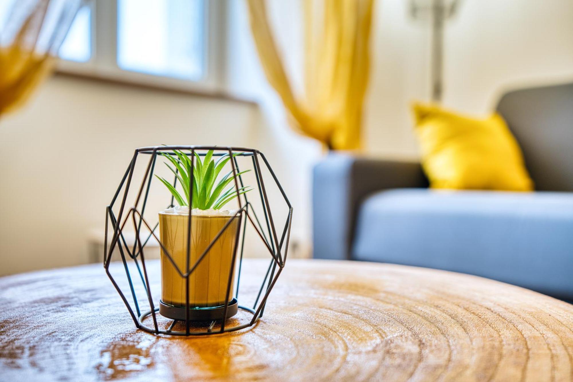 Les Hourtous Netflix Wi-Fi Fibre Terasse 4 Pers Appartement Banassac Buitenkant foto