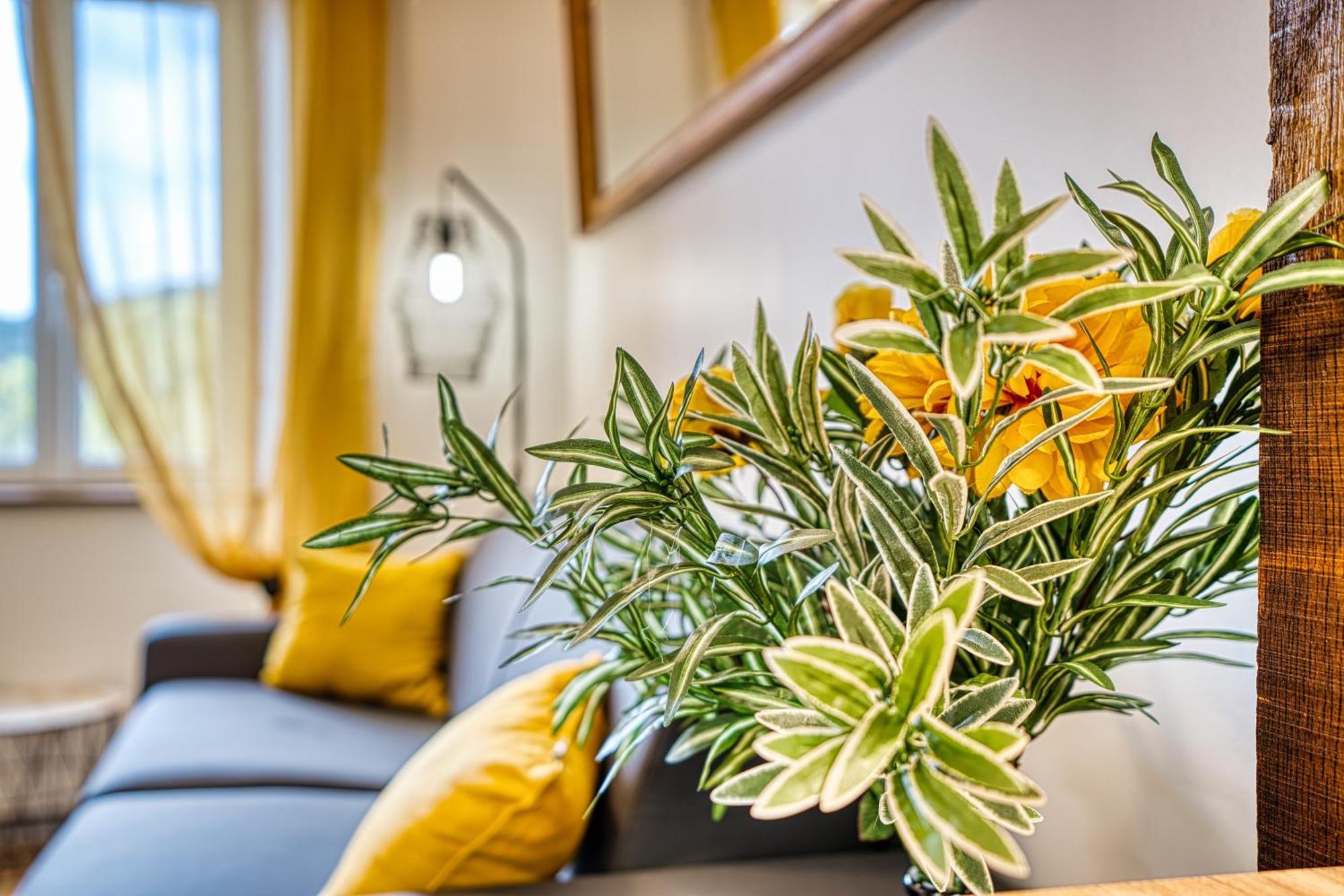 Les Hourtous Netflix Wi-Fi Fibre Terasse 4 Pers Appartement Banassac Buitenkant foto